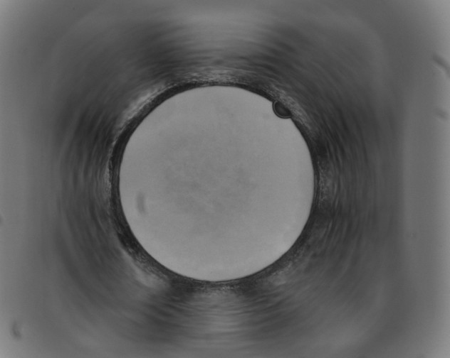 X0000096960674200803071052