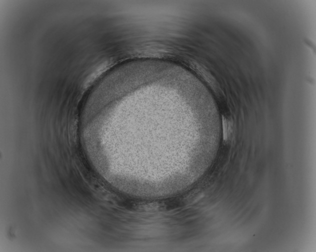 X0000096960675200803071052