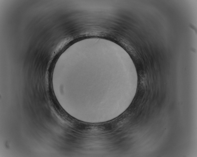 X0000096960678200803071051