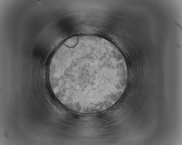 X0000096960679200803071051