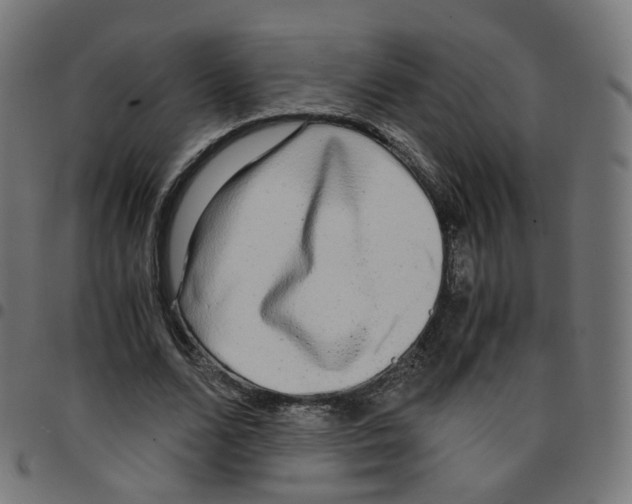 X0000096960680200803071051