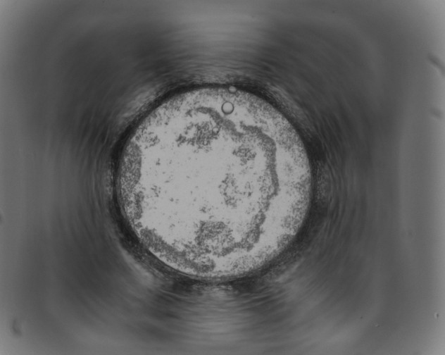 X0000096960683200803071051