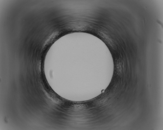 X0000096960686200803071051