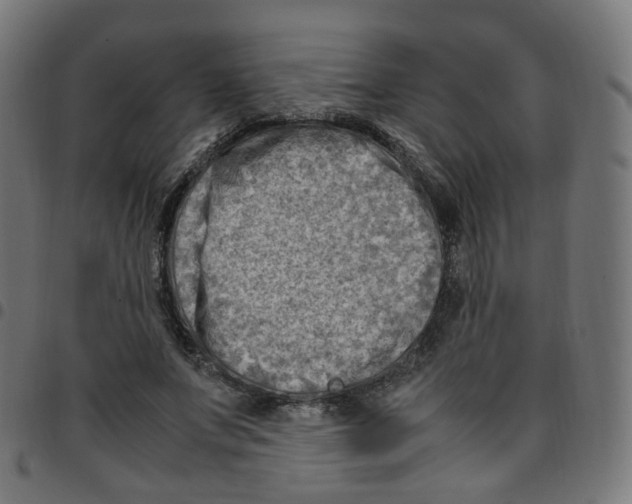 X0000096960687200803071051