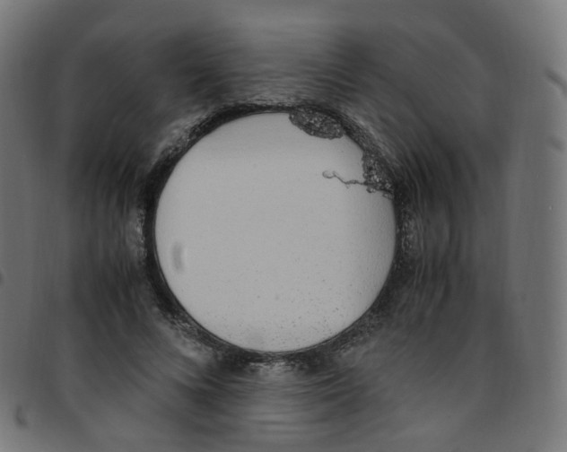 X0000096960688200803071051