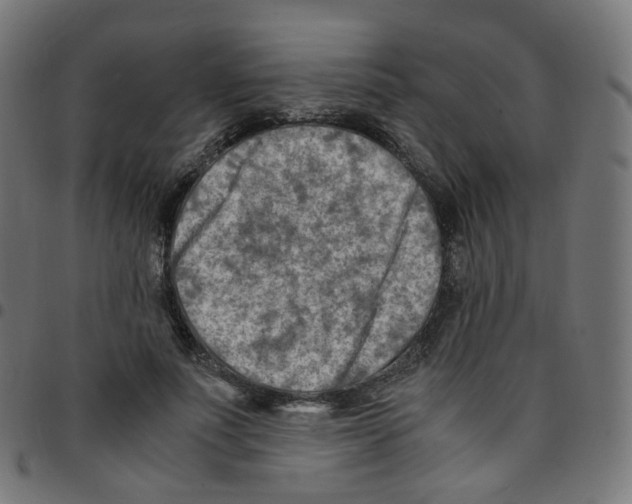 X0000096960691200803071051