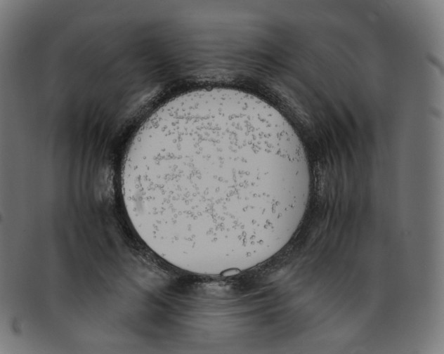 X0000096960692200803071051