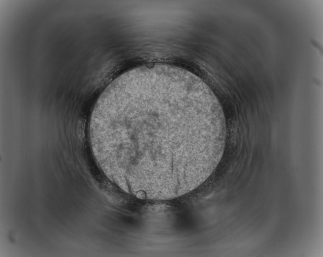 X0000096960695200803071051