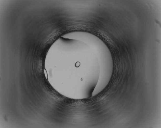 X0000096960696200803071051