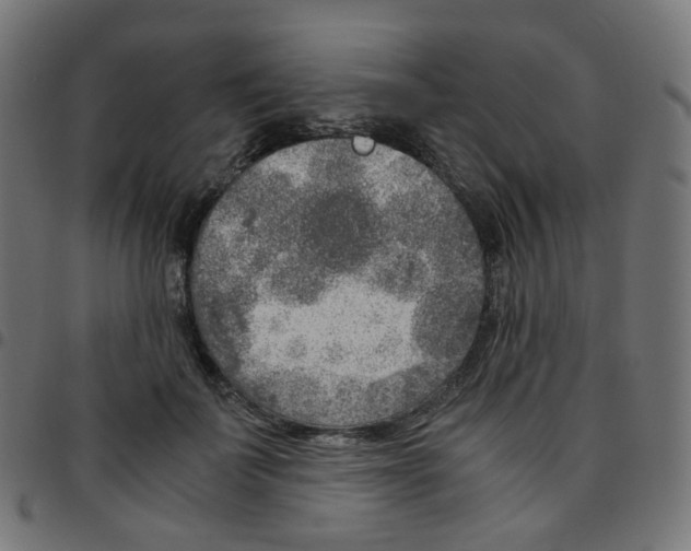 X0000096960699200803071051