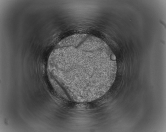 X0000096960703200803071051