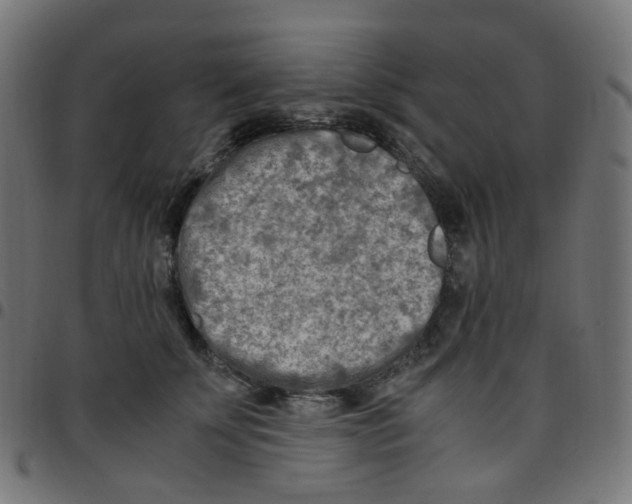 X0000096960707200803071051