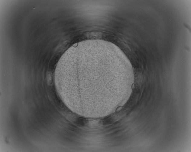 X0000096960709200803071051