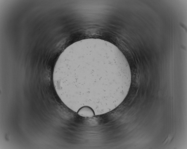 X0000096960710200803071051