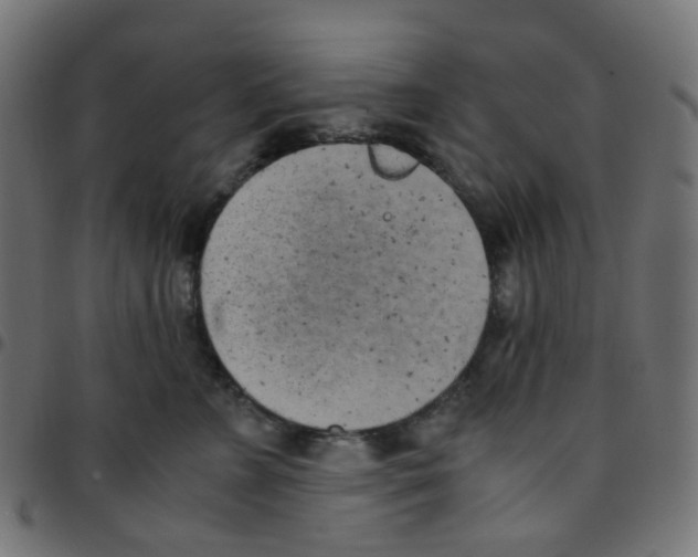 X0000096960715200803071051