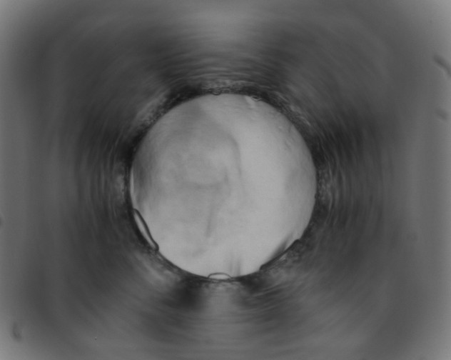 X0000096960716200803071051