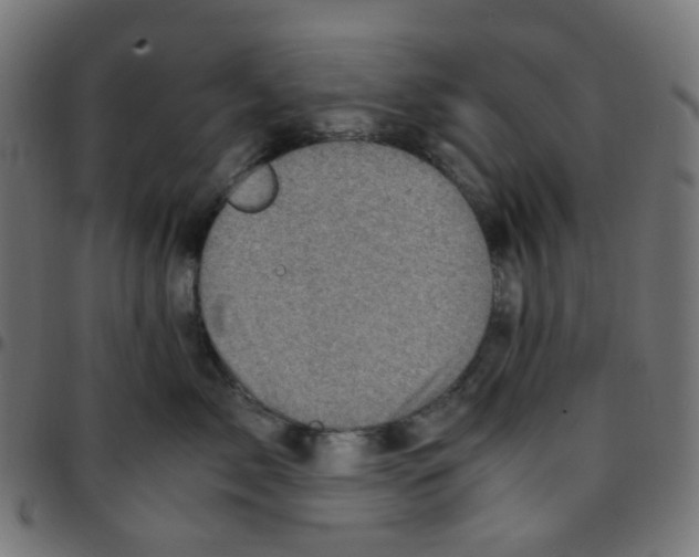 X0000096960717200803071051