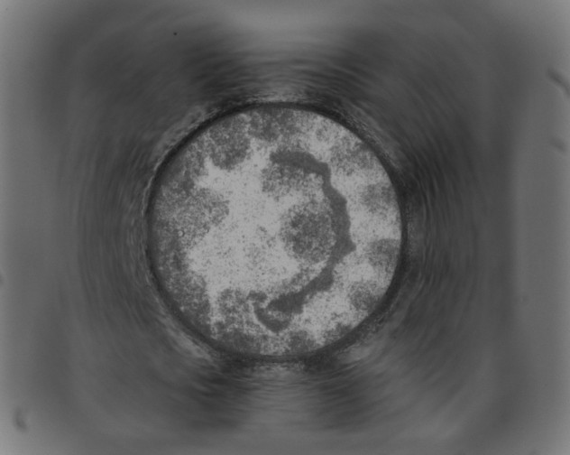 X0000096960721200803071050