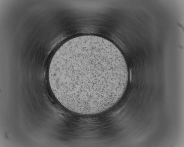 X0000096960723200803071050