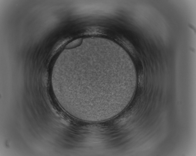 X0000096960724200803071050