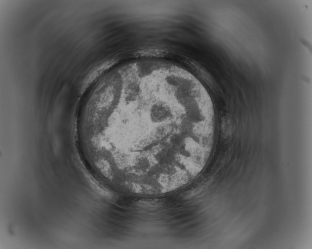 X0000096960725200803071050