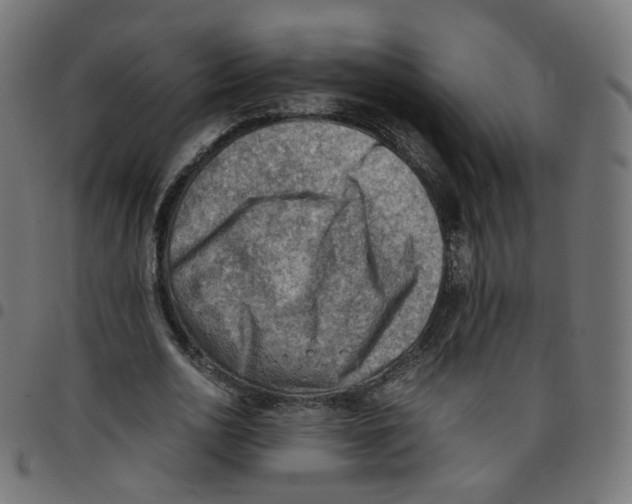 X0000096960726200803071050