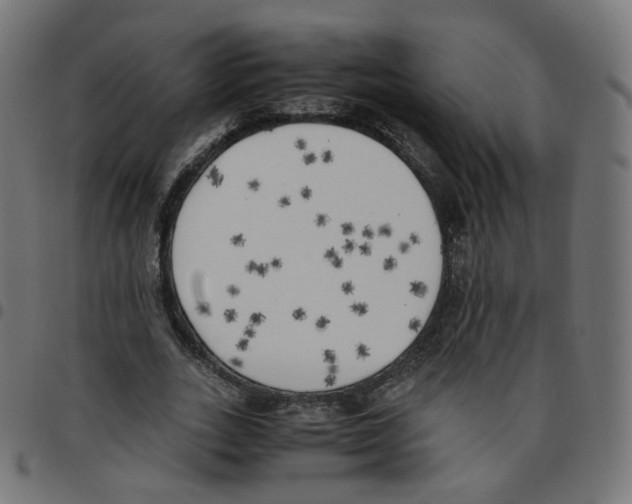 X0000096960727200803071050