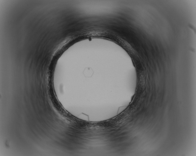 X0000096960730200803071050