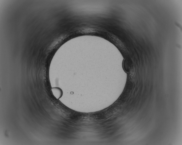 X0000096960732200803071050