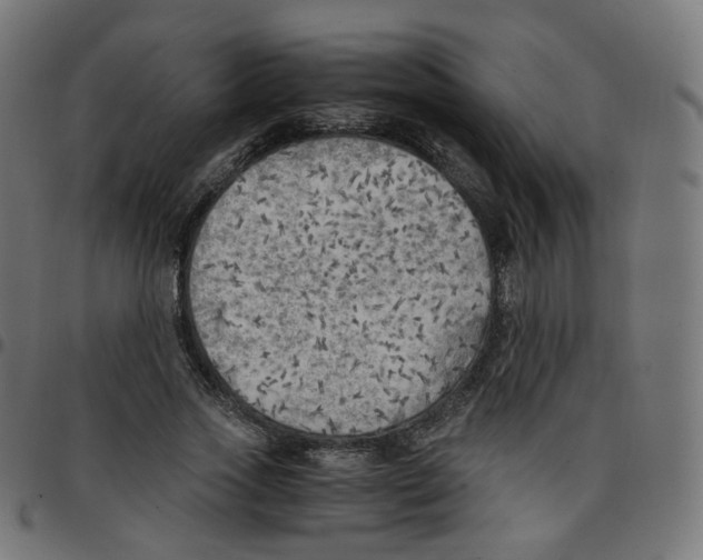 X0000096960733200803071050