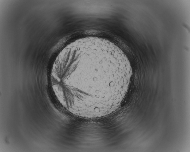 X0000096960734200803071050