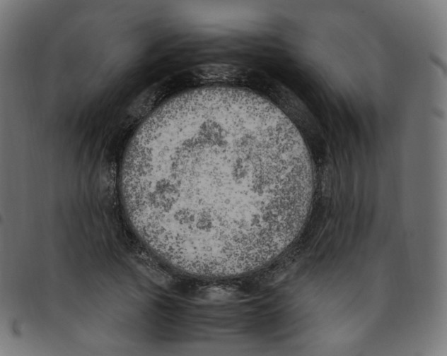 X0000096960737200803071050