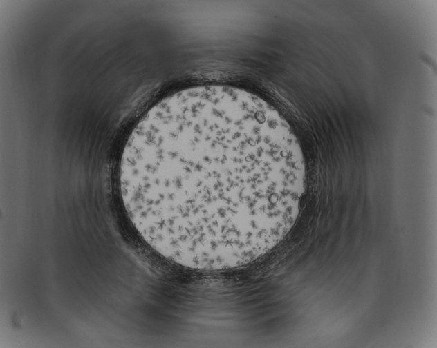 X0000096960738200803071050