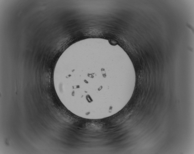 X0000096960739200803071050