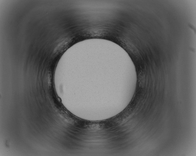 X0000096960740200803071050