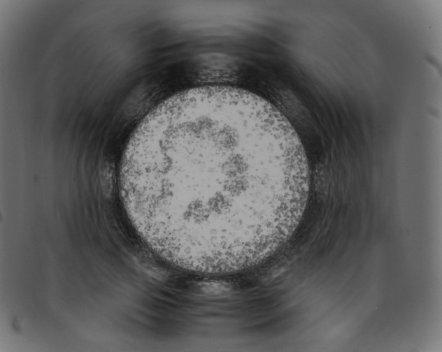 X0000096960741200803071050