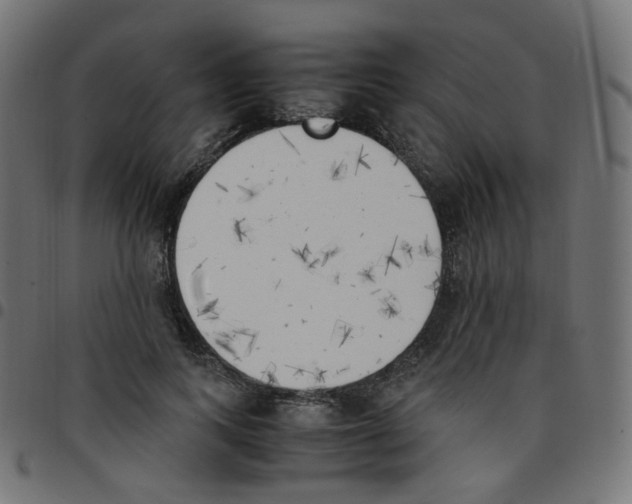 X0000096960743200803071051