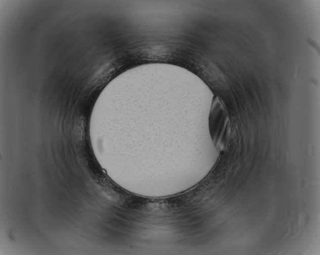 X0000096960744200803071051