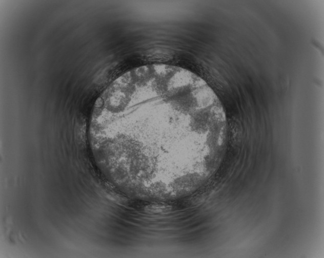 X0000096960745200803071051