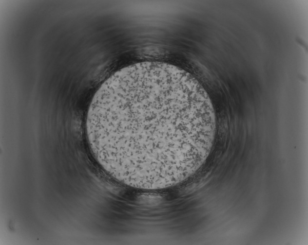 X0000096960749200803071051