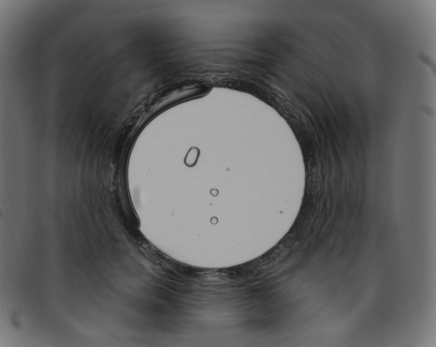 X0000096960750200803071051