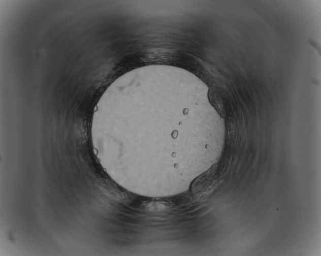 X0000096960751200803071051