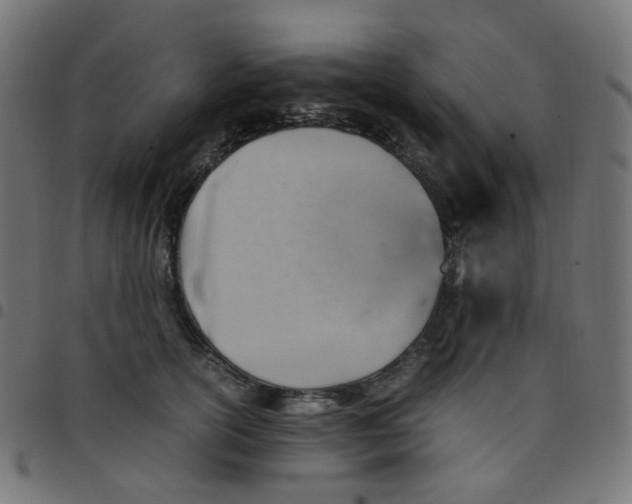 X0000096960754200803071051