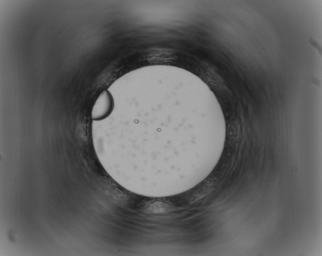 X0000096960755200803071051