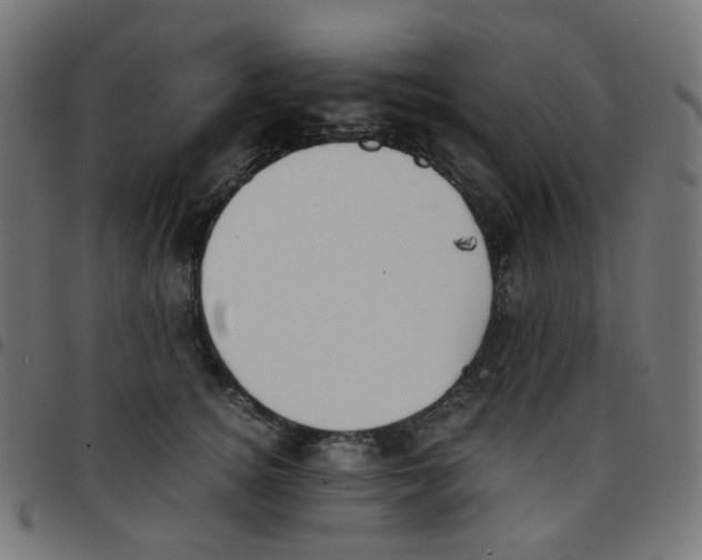 X0000096960756200803071051