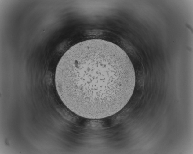 X0000096960758200803071051