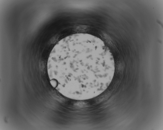 X0000096960759200803071051