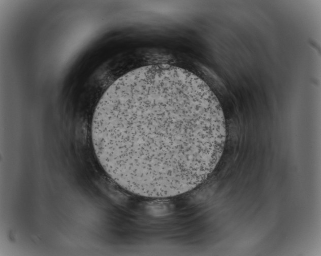 X0000096960761200803071051