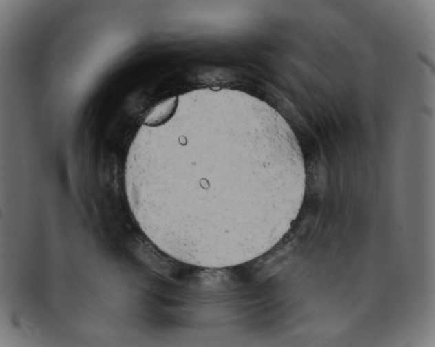 X0000096960762200803071051