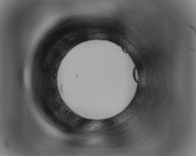 X0000096960764200803071051